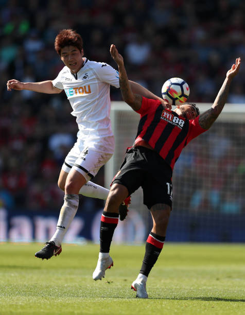 维奇的成绩 维奇的成绩