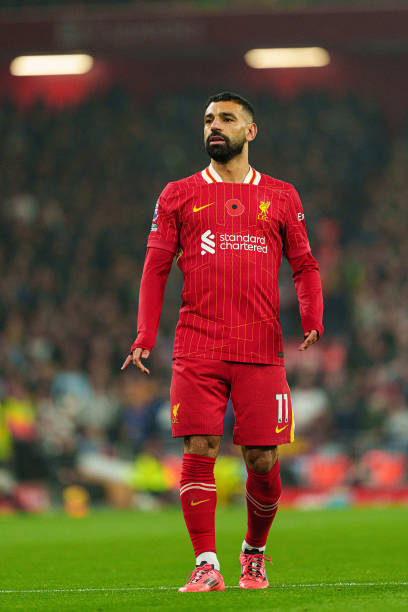 提供了全方 提供了全方